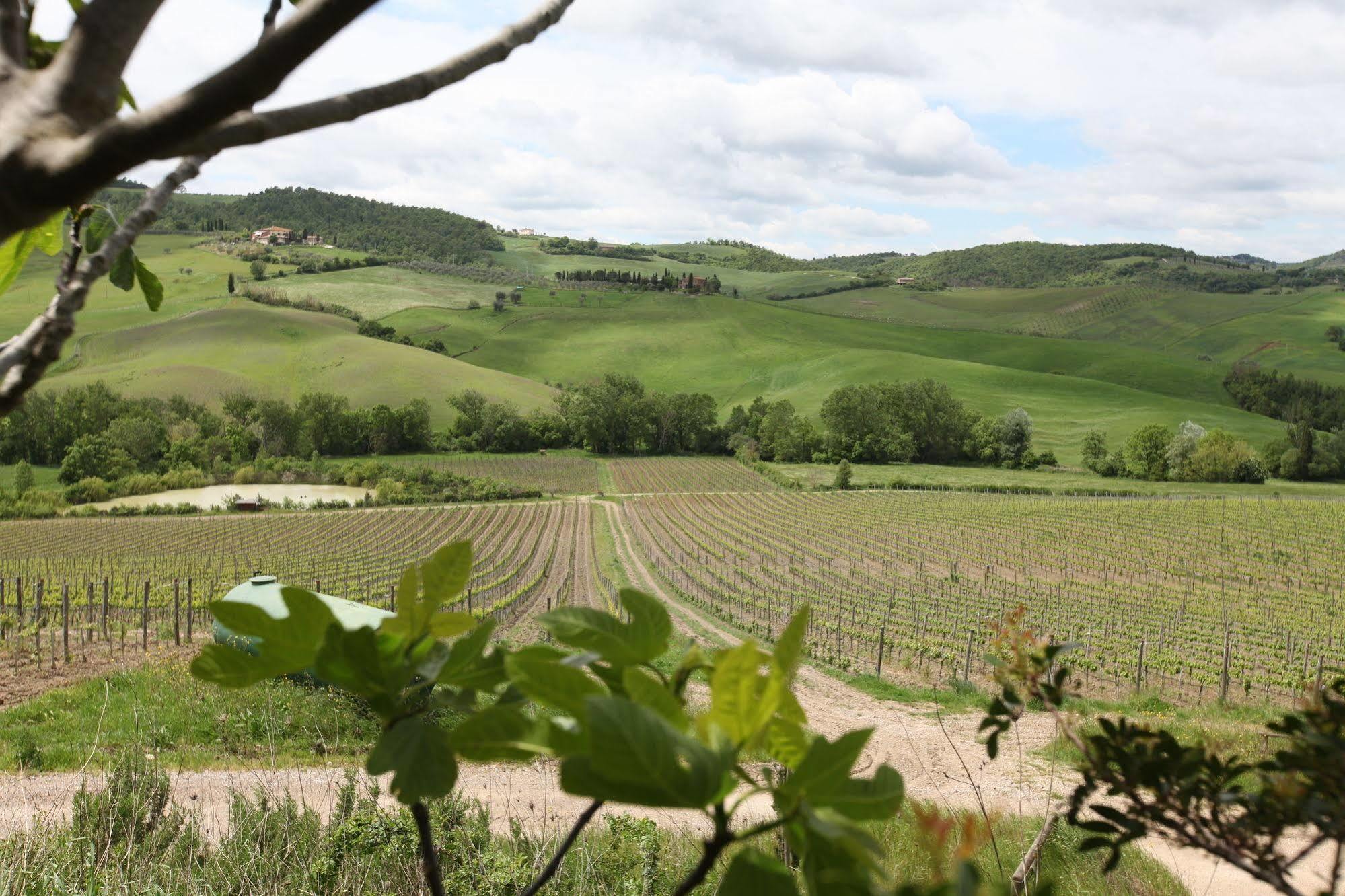 Agriturismo San Gallo * Montepulciano