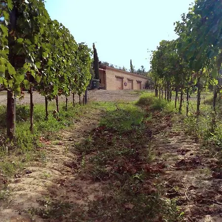 Agriturismo San Gallo Villa Montepulciano Exterior photo